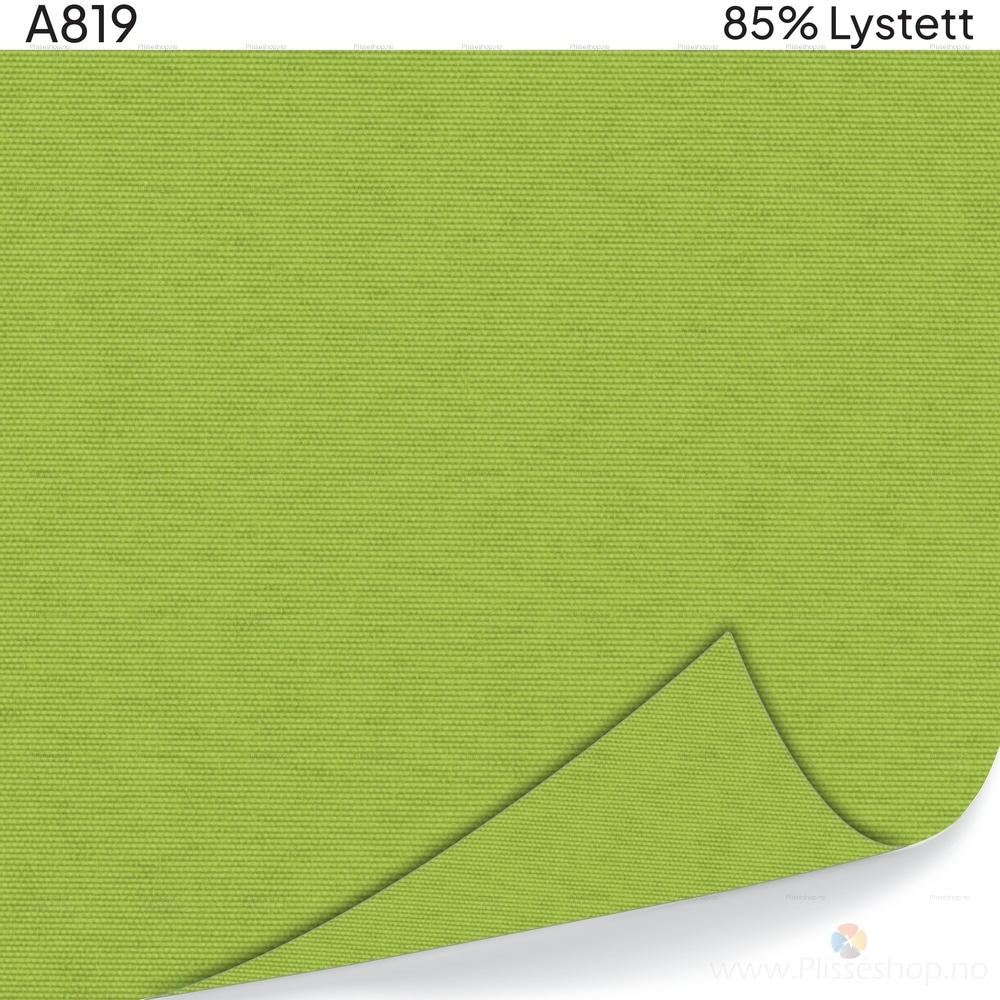 A819