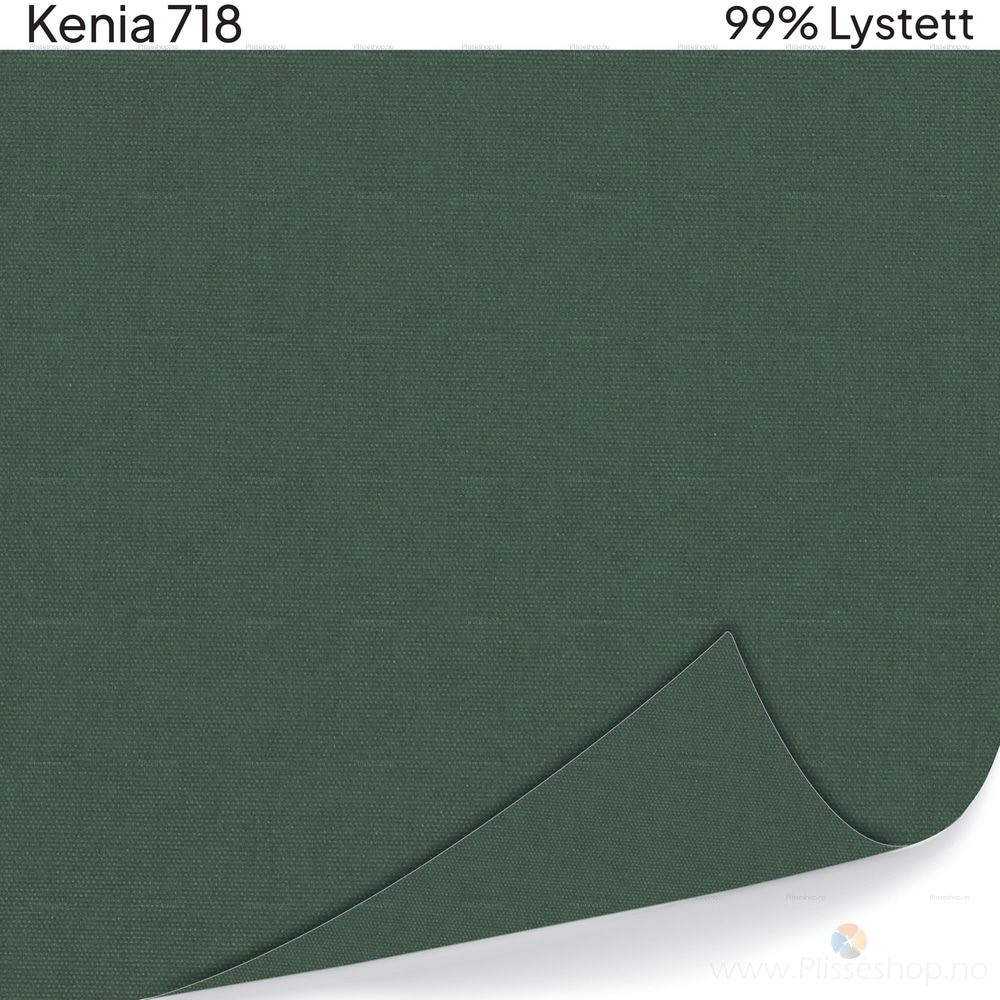 Kenia 718