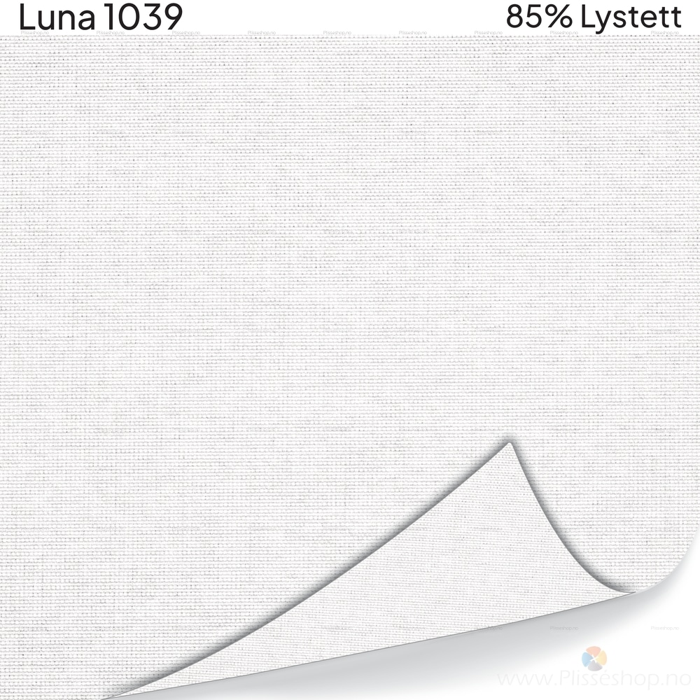 Luna 1039