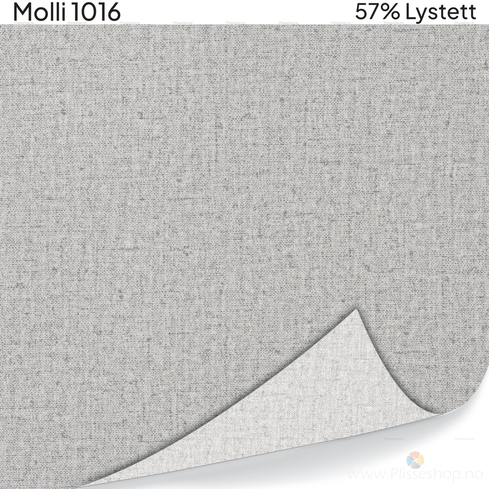 Molli 1016