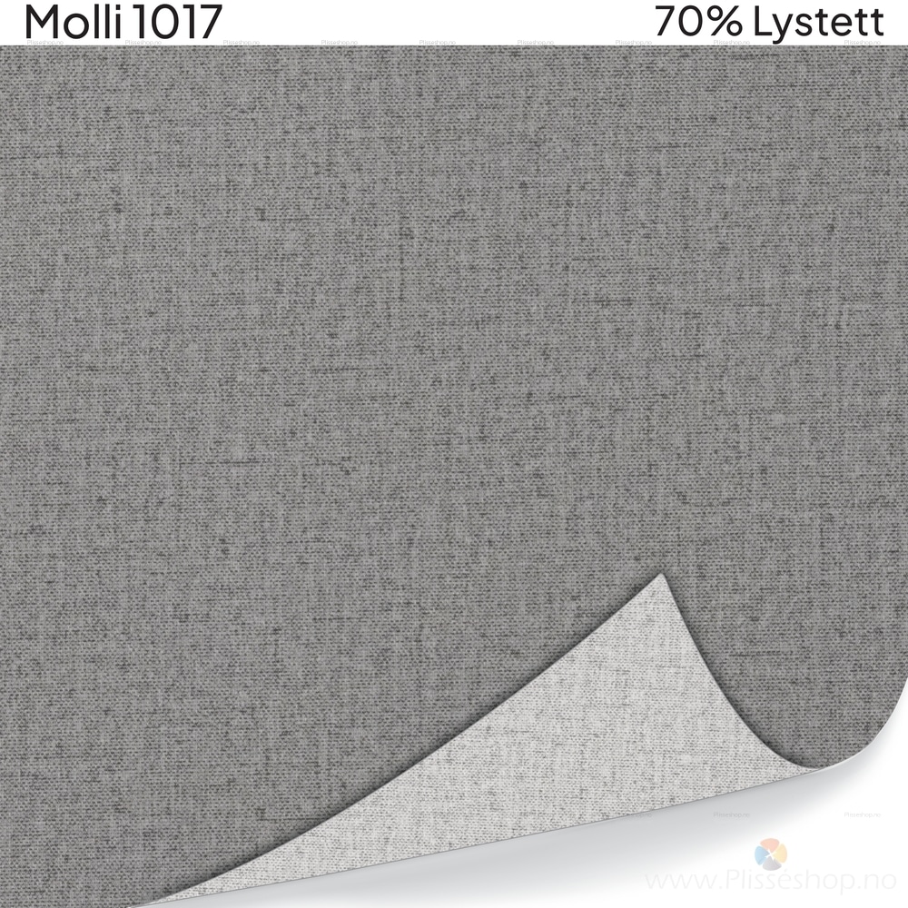 Molli 1017